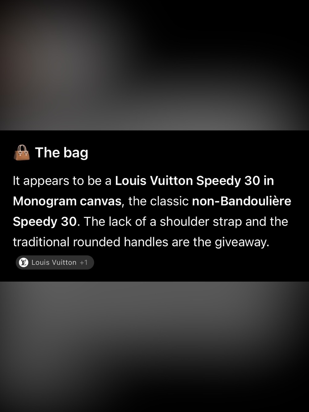 Louis Vuitton Monogram Canvas Satchel with Vachetta Leather Handles - Picture 9 of 9
